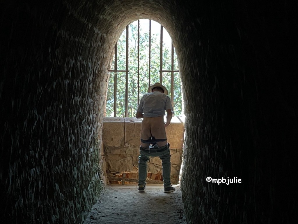 Master is standing in the arch way of a castle with his trousers and pants around hi knees. Mooning at me. You can see his bum.