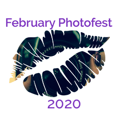 February photofest badge