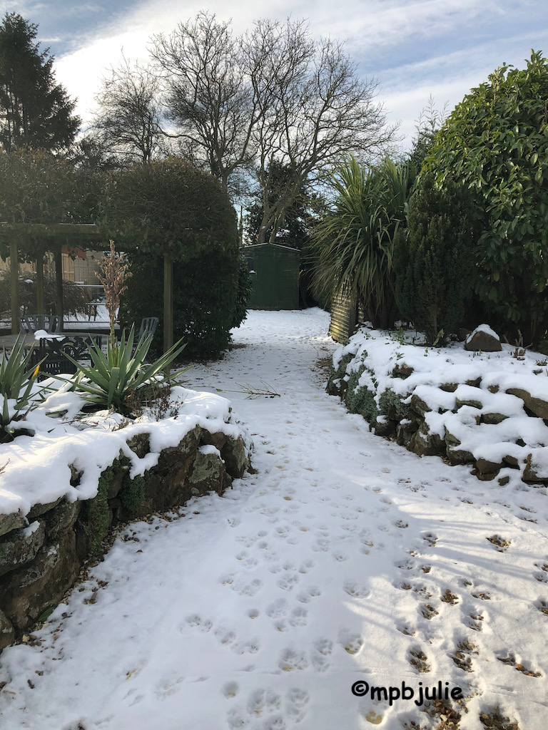 A snowy garden scene. You can see animal footprints on the path. It's a sunny and bright snowy morning.
