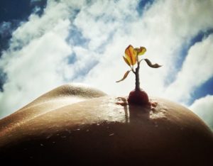 Elust 118 Header of My controlled ascent