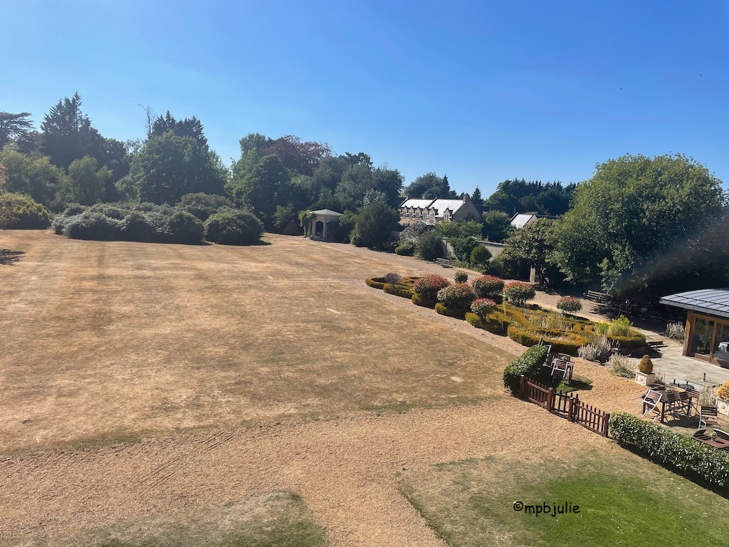 View from our room. Blue sky, green trees and a very brown lawn