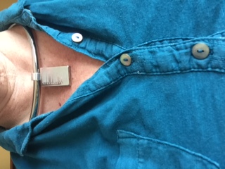 Me wearing my collar and tag. I'm also wearing a blue shirt