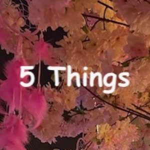 5 Things Badge